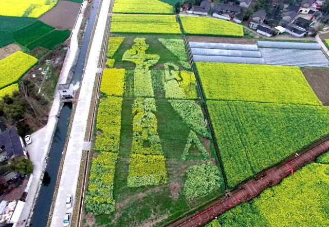 �����, ������� �� �����