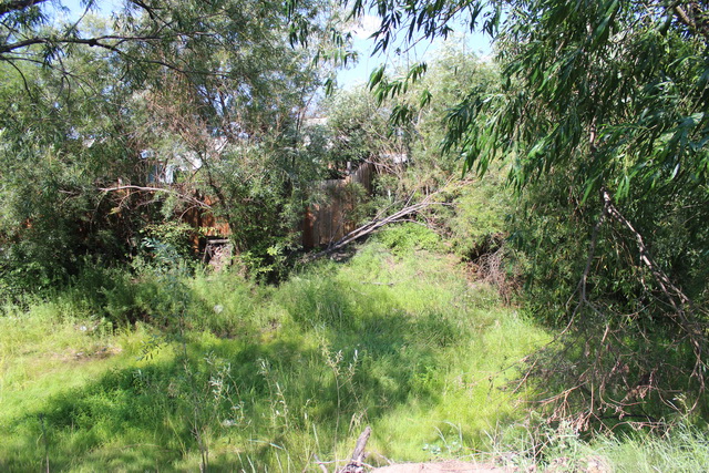 IMG_3594.JPG