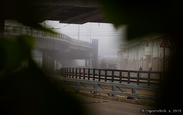 BR1Y6271.jpg BR1Y6271.jpg