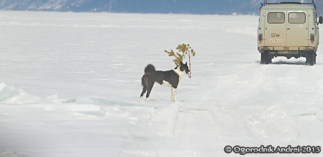 20150326_0116.jpg