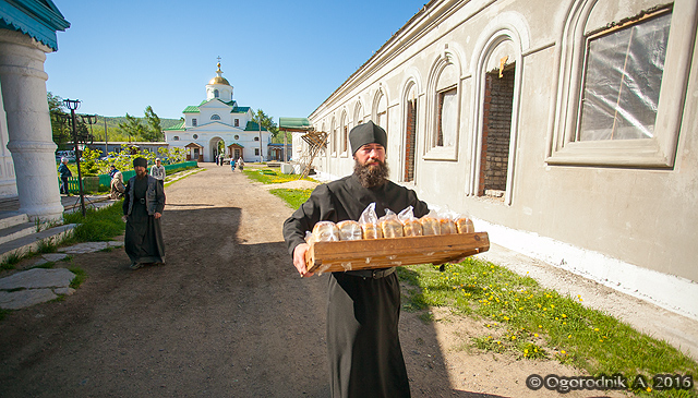 IMG_6606.jpg