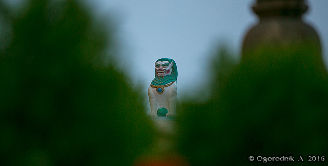 AOGO9722.jpg