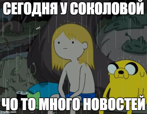 .jpg