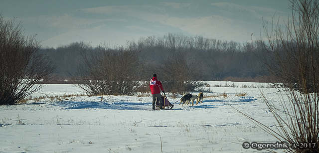 IMG_7122.jpg