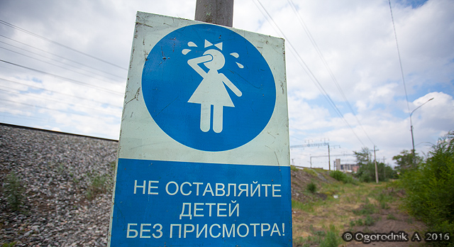 IMG_4537.jpg