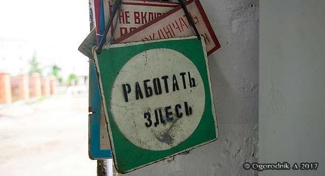 IMG_3345.jpg