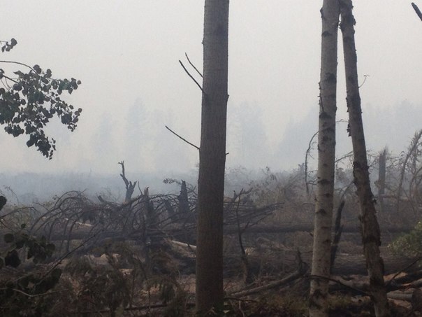 ���� ����� ���.jpg