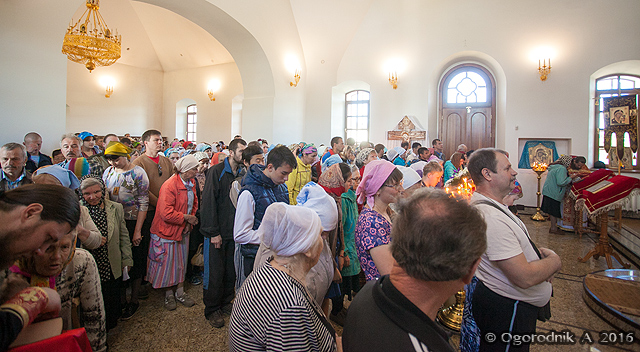 IMG_6605.jpg