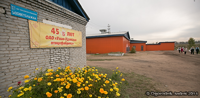 AOGO3640.jpg