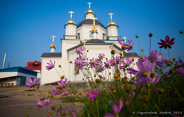 IMG_7469.jpg