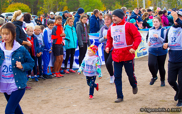 BR1Y3534.jpg BR1Y3534.jpg