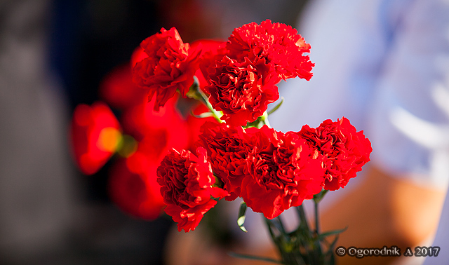 IMG_4839.jpg