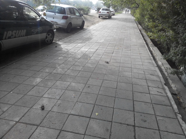P_20150901_084252.jpg