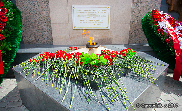 IMG_7633.jpg