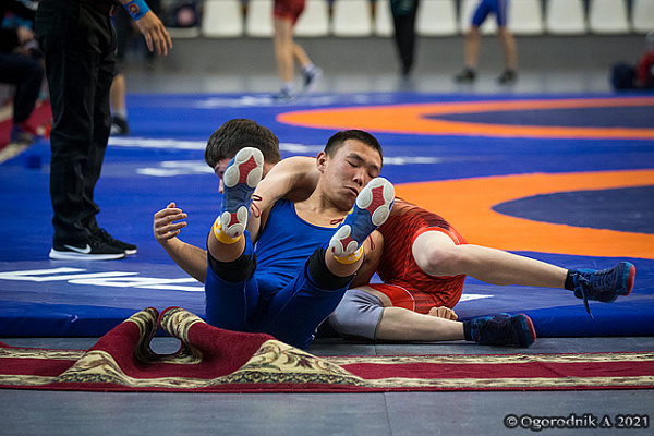 Борис максимович гуревич. Греко римский борец в россии чемпион мира. Турнир бориса будаева. Борьба борису. Вольная борьба венгрия.