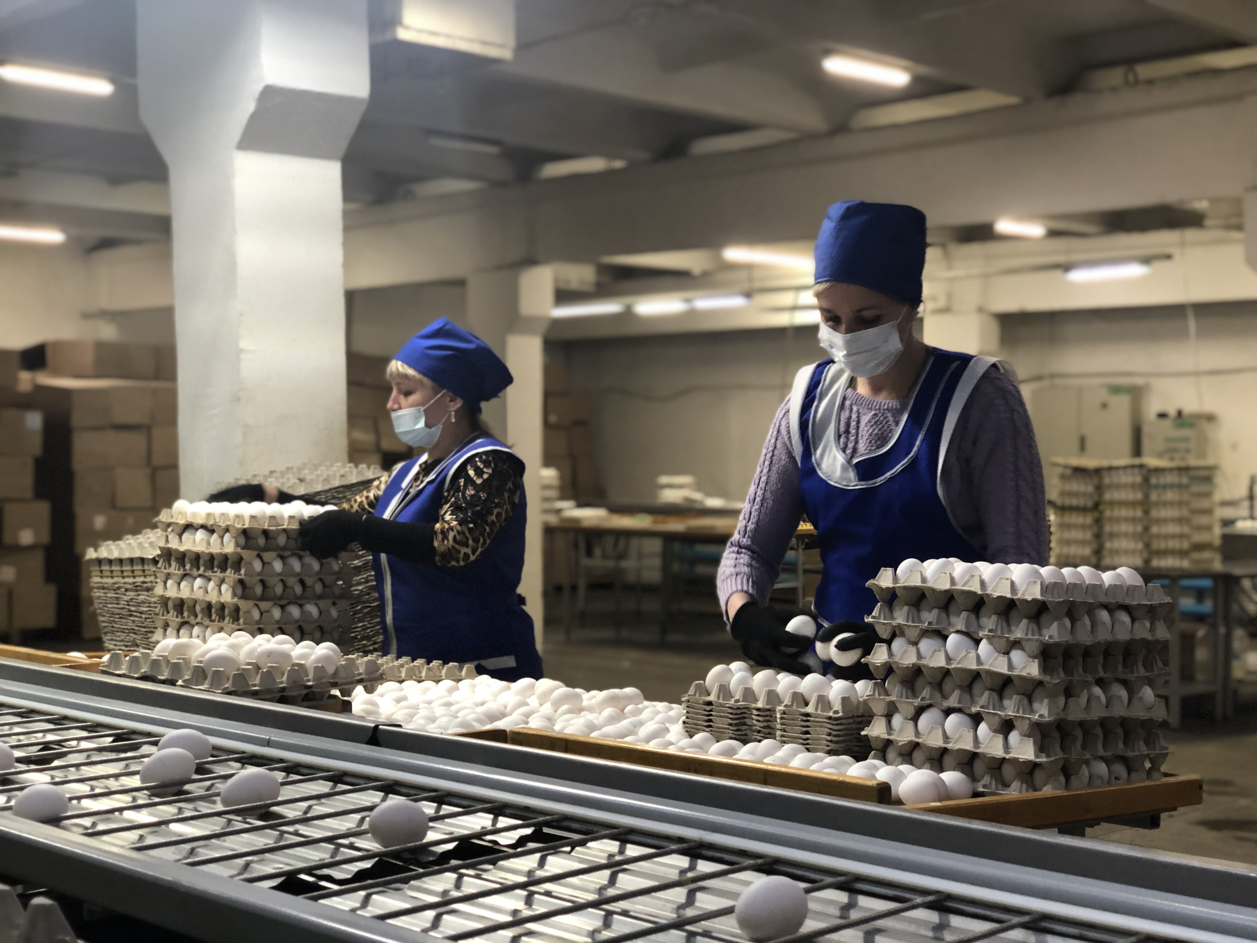 Птицевод заработок денег. Улан-Удэнская птицефабрика. Птицефабрика Бурятия Заиграевская